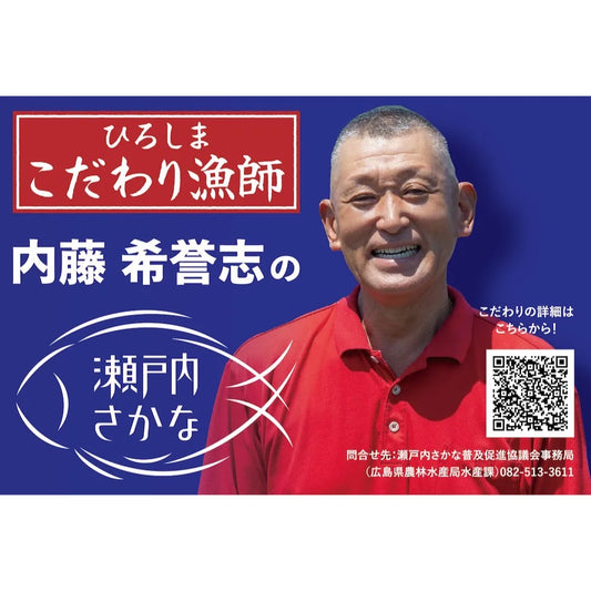 【広島・江田島産】スズキ1匹 1.5kg前後