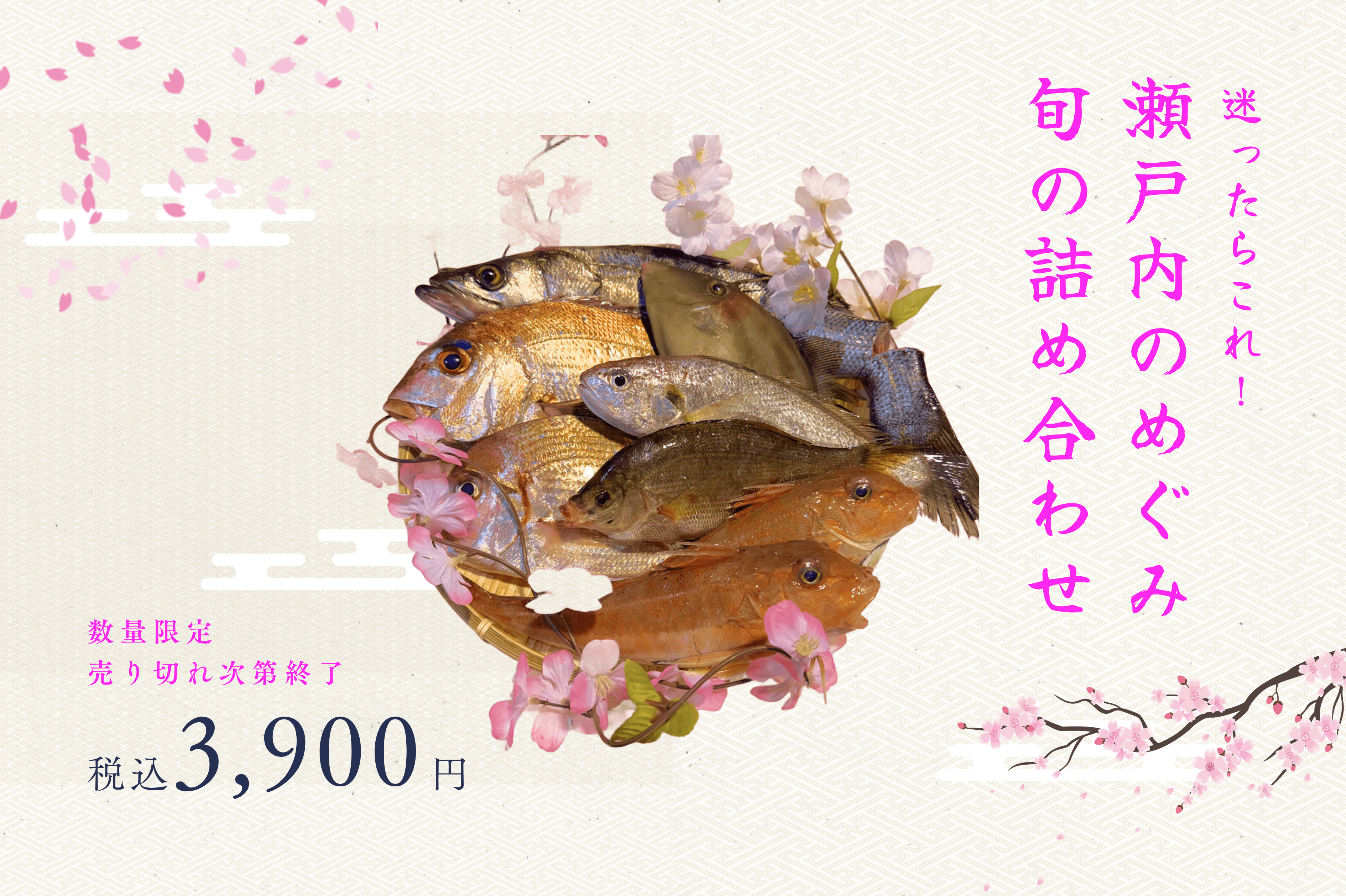 迷ったらこれ！ 瀬戸内のめぐみ 旬の詰め合わせセット