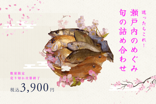 迷ったらこれ！ 瀬戸内のめぐみ 旬の詰め合わせセット
