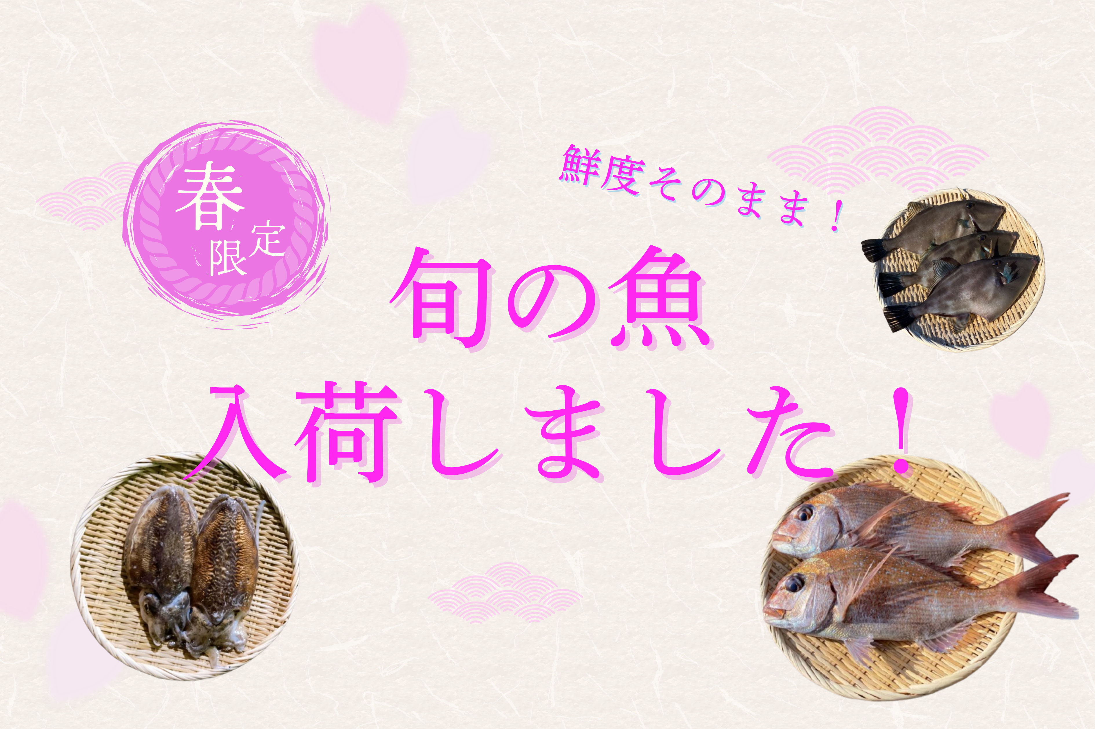 潮風に春を感じて。瀬戸内の春便り