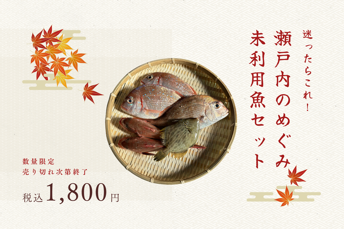 まよったらこれ！ 瀬戸内のめぐみ 未利用魚セット