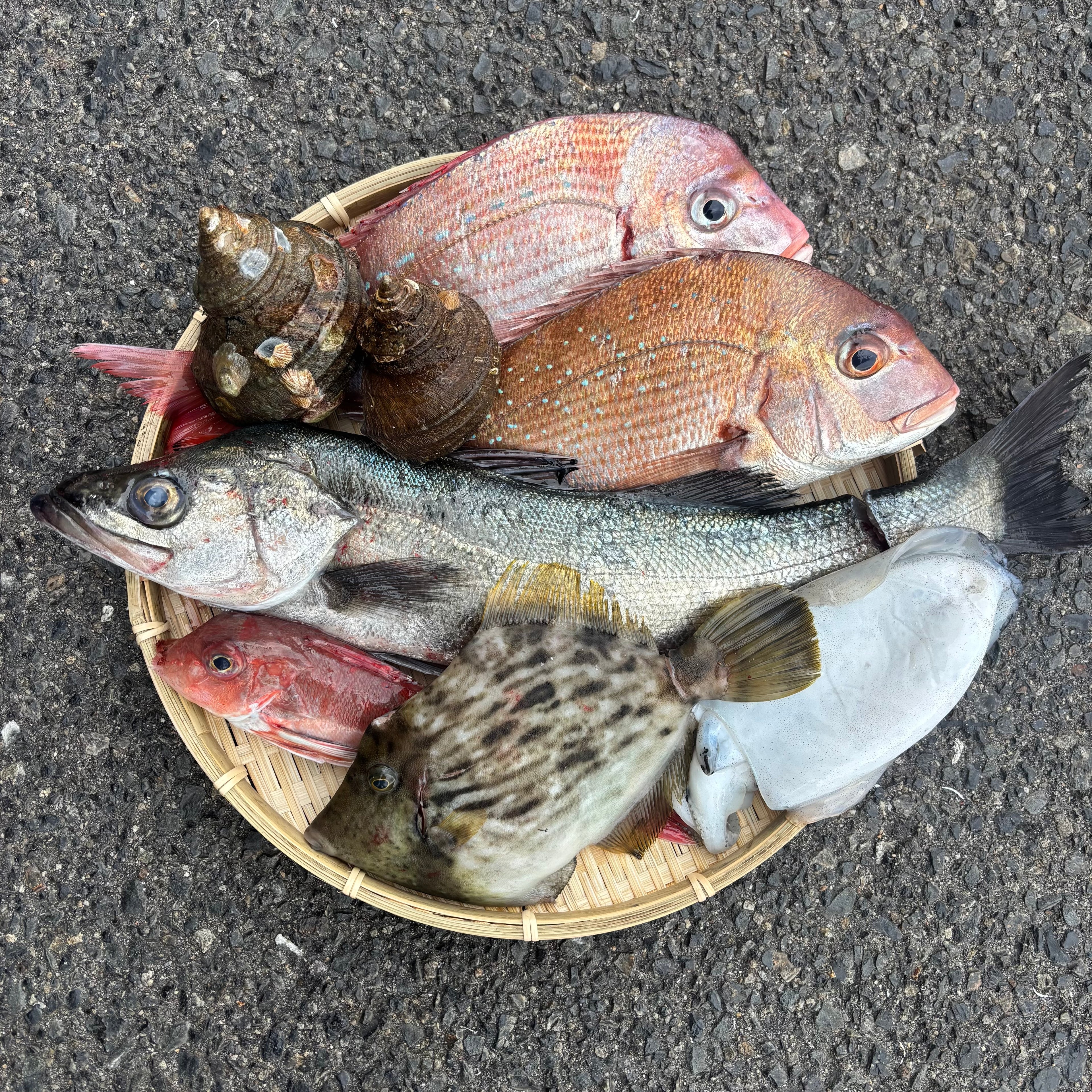 瀬戸内のめぐみ　旬の詰め合わせ！