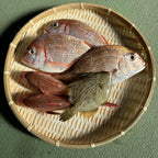 瀬戸内のめぐみ　未利用魚セット