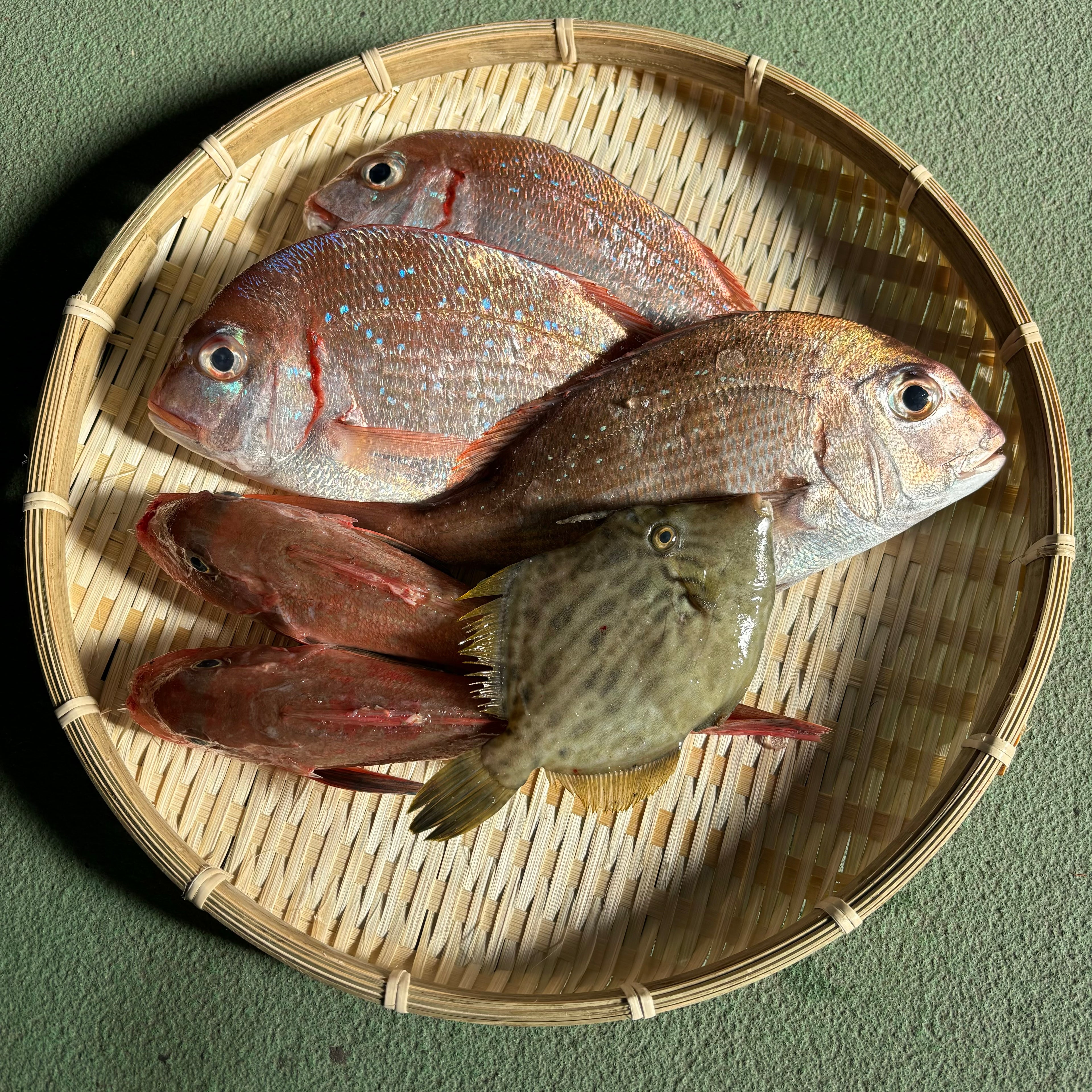 瀬戸内のめぐみ未利用魚セット